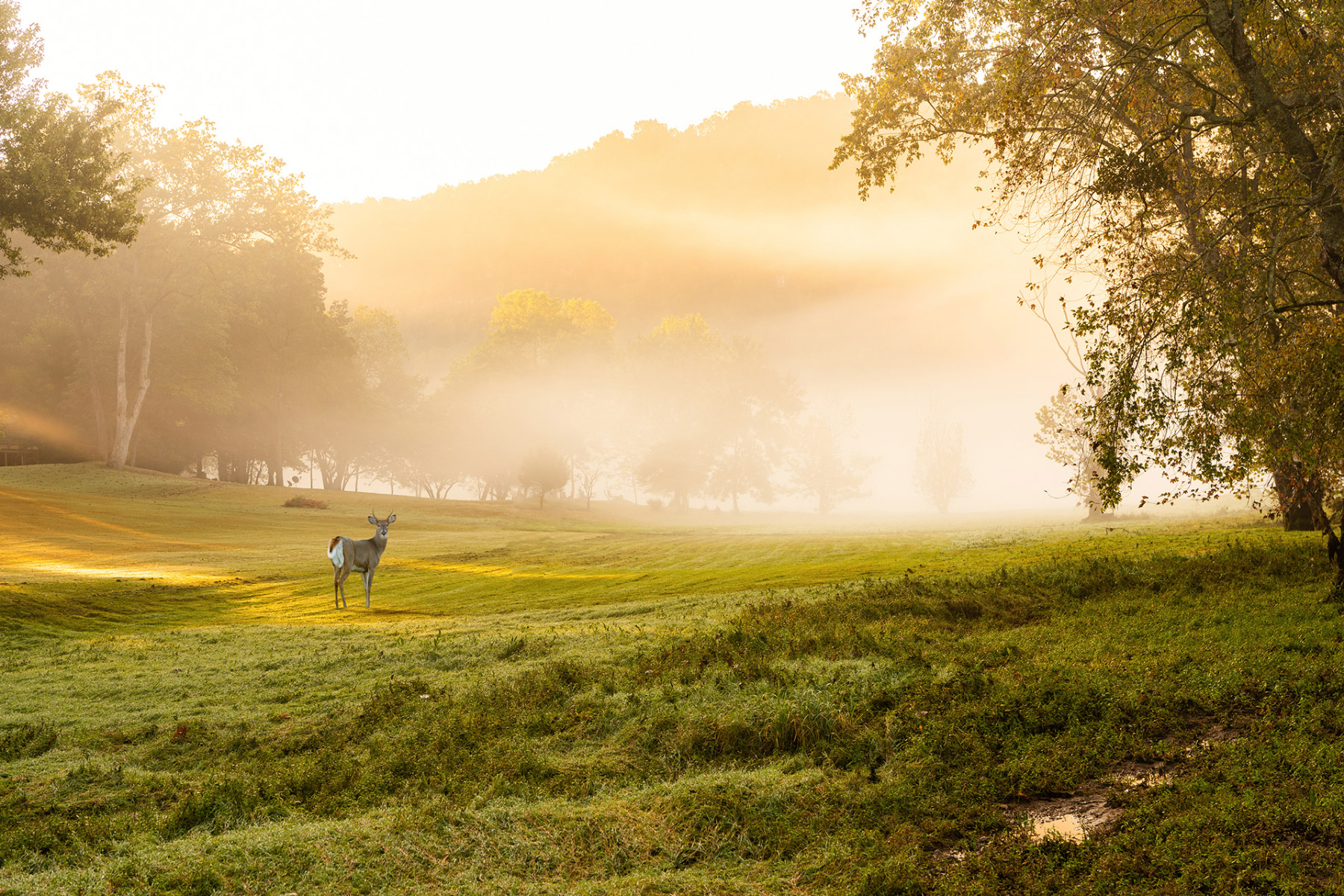 arkansas landscape photography